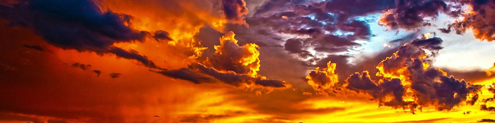 what comes with empower network 